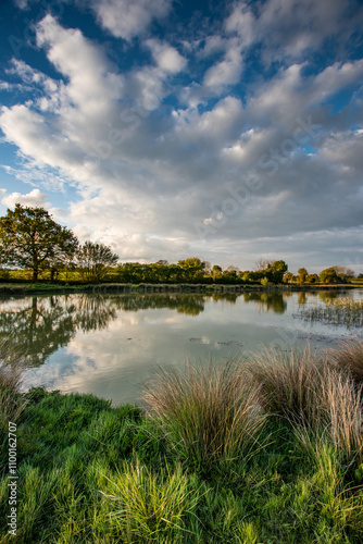 Reflections in a Lake