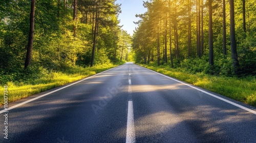 Scenic Empty Road Surrounded by Lush Green Forest and Sunlight