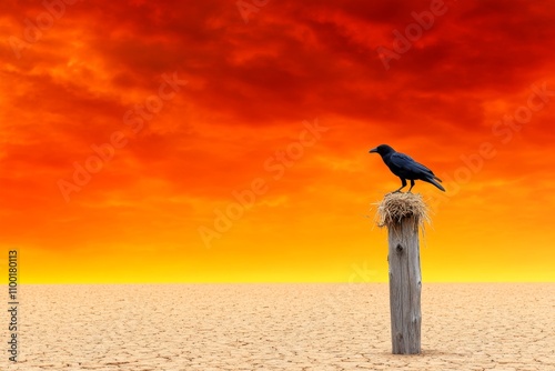 A moody scene of a crow perched on a scarecrow in a desolate field under a blood-red autumn sky photo