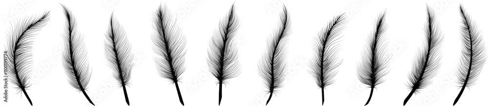 Obraz premium Black feathers set