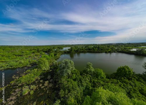 Aerial view with a delta, an ecosystem full of lakes and green willows. Amazing wild landscape seen from above in summer on a sunny day