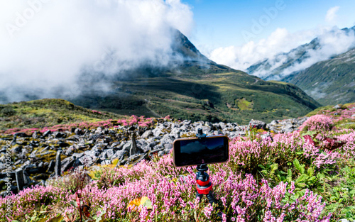 landscape view with wild flowers in Taplejung, Nepal. photo