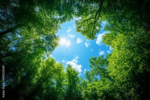 Emphasizing Environmental Conservation through the Perspective of Sky and Forests photo