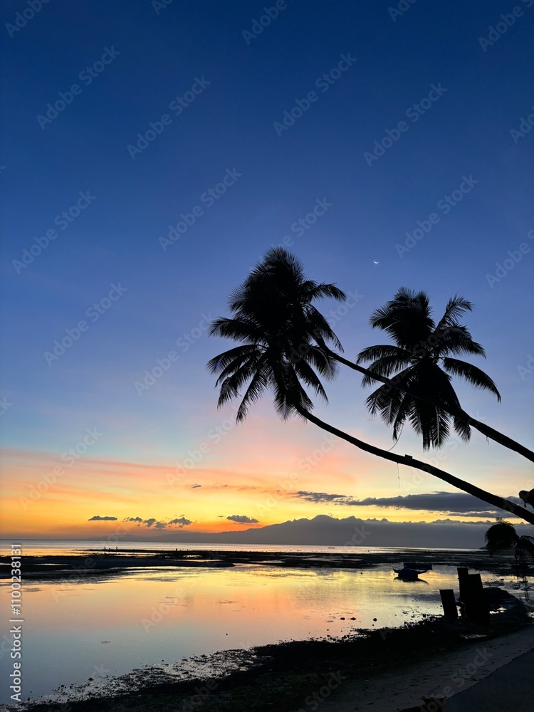 Obraz premium sunset on the beach