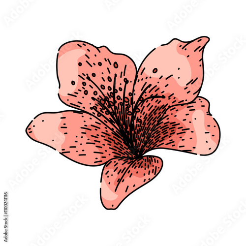 garden azalea hand drawn. shrub evergreen, deciduous pink, red purple garden azalea vector sketch. isolated color illustration