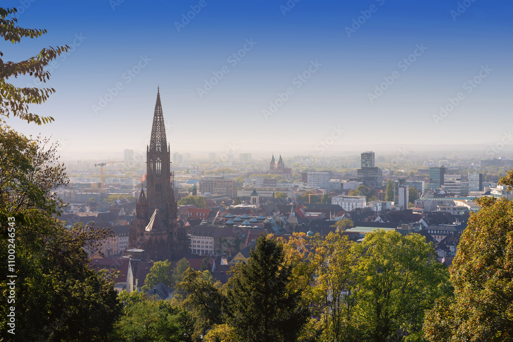 Fototapeta premium Blick über Freiburg
