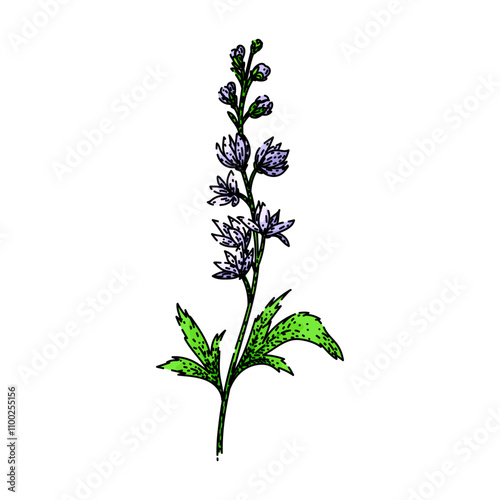 flowers delphinium hand drawn. gardening perennial, blooms blue, spikes cottage flowers delphinium vector sketch. isolated color illustration
