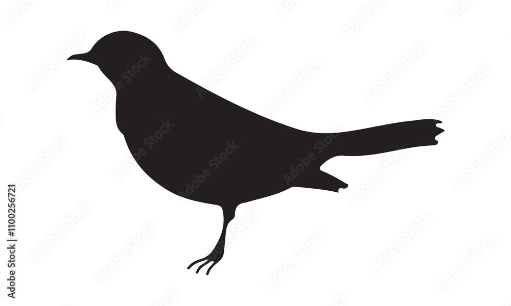 Fototapeta premium European starling icon silhouette vector illustration kitten icon logo cartoon character illustration doodle whiteCalligraphy t shirt design,Hand drawn lettering phrase, Silhouette,Isolated on white b