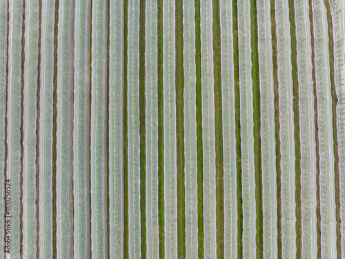 Aerial view of beautiful agricultural fields with abstract patterns and natural textures, Neugartheim-Ittlenheim, France. photo