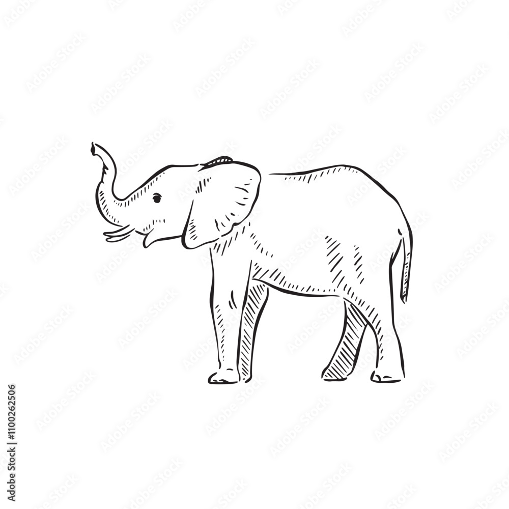 Fototapeta premium Side profile elephant in black and white line drawing. 