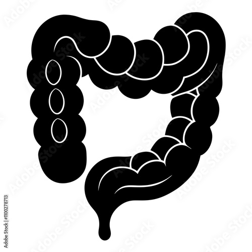 Large Intestine vector illustration