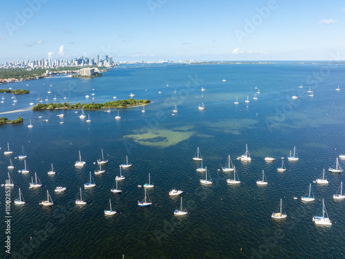 Aerial view of coconut grove marina with beautiful sailboats and serene skyline, Coconut Grove, USA. photo