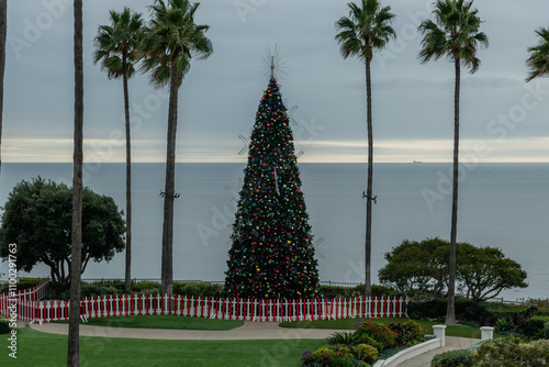 Scenic aerial view of a tall Christmas tree at the Salt Creek Beach in Dana Point, Orange County, Southern California