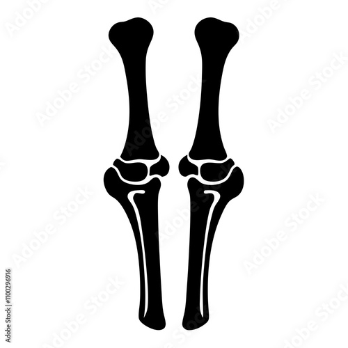 Bone Joints vector illustration