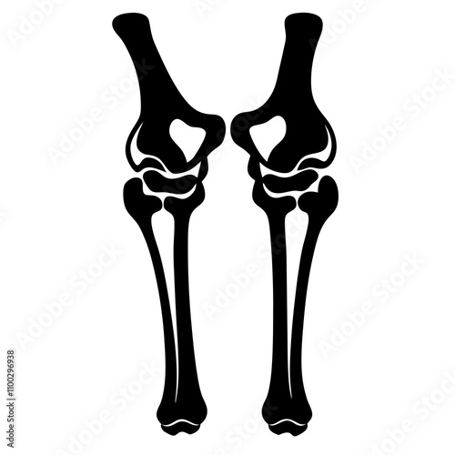 Bone Joints vector illustration