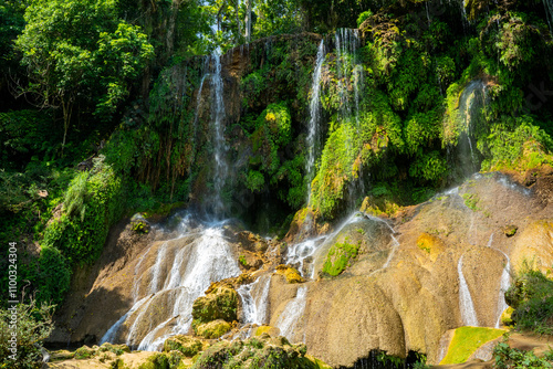 waterfall in the forest