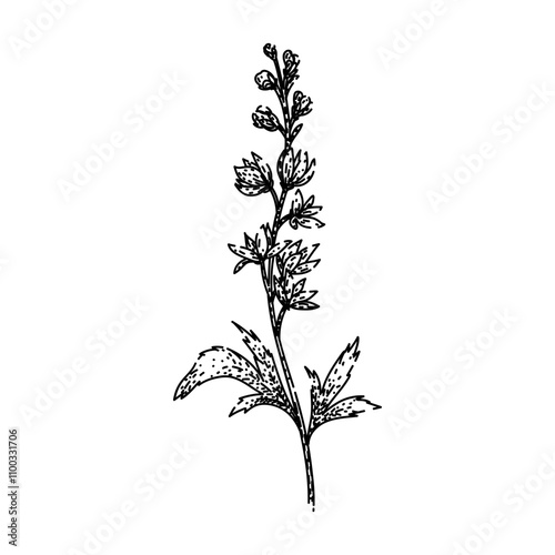 flowers delphinium hand drawn. gardening perennial, blooms blue, spikes cottage flowers delphinium vector sketch. isolated black illustration