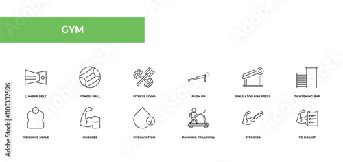 fully editable outline icon collection from gym concept. thin line icons set such as lumbar belt, fitness ball, fitness food, steroids, to do list,