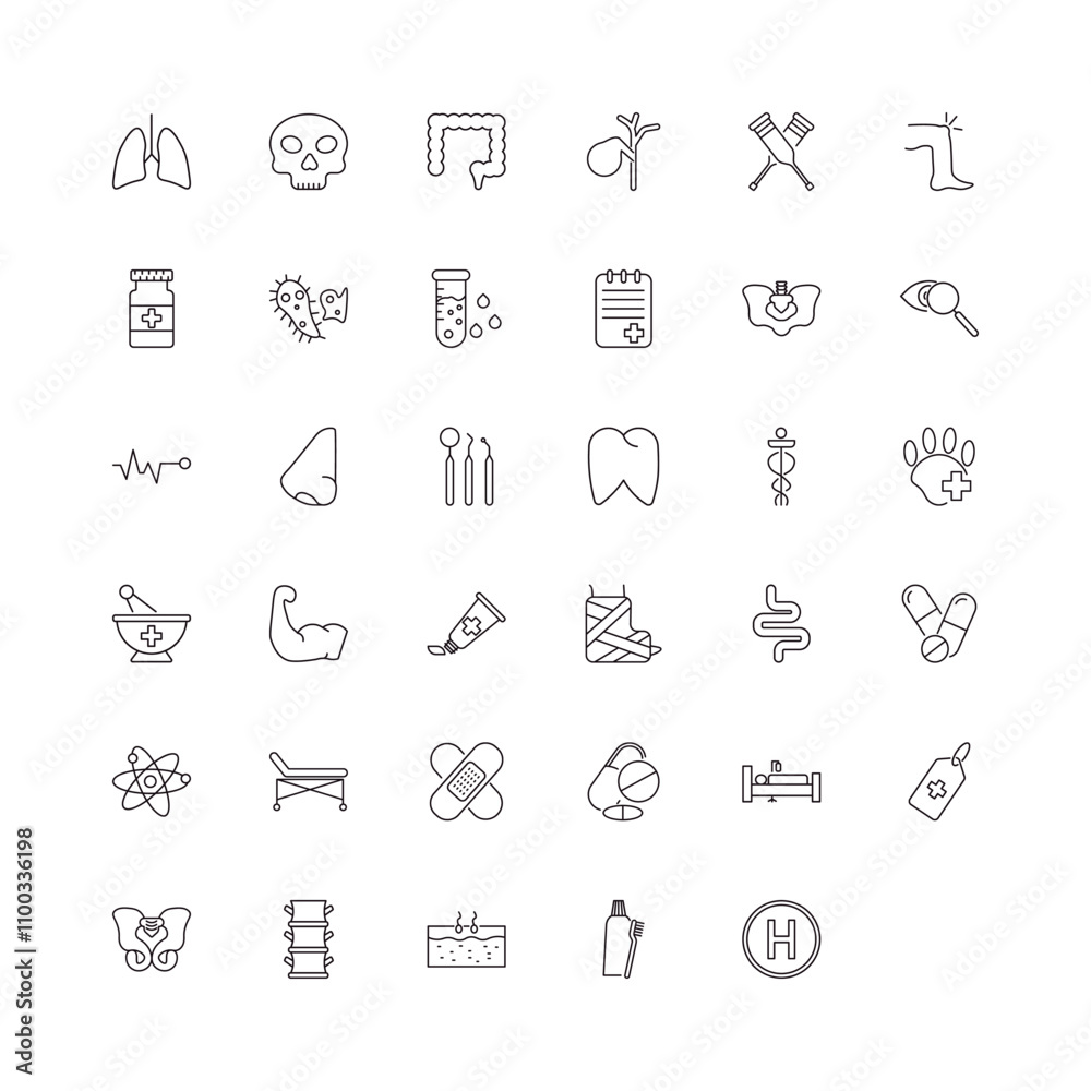 Fototapeta premium fully editable outline icon collection from medical concept. thin line icons set such as lungs, dead, pelvic area, brush with tooth paste, heliport,