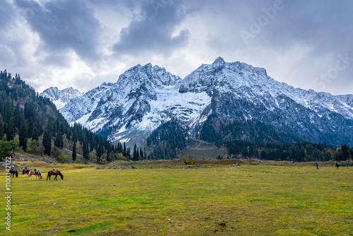 Serene Landscape of Sindh river valley near Sonamarg village in Ganderbal district of Jammu and Kashmir, India. It is a popular tourist destination for trekking and Amarnath holy pilgrimage. photo