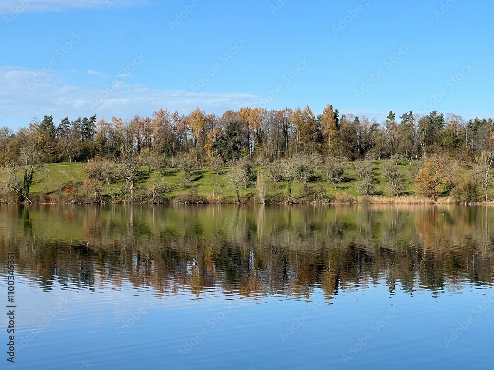 Fototapeta premium Late autumn atmosphere on the Swiss Katzenseen lakes or Katzensee lakes (Katzen lakes), Regensdorf - Canton of Zurich (Zürich or Zuerich), Switzerland (Schweiz)