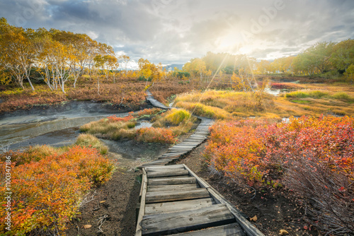 View of tranquil wetlands with a wooden path surrounded by vibrant autumn foliage under a cloudy sky, Kamchatka, Russia.