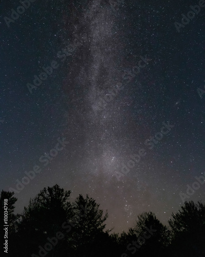 View of the milky way over a serene umbrial landscape with silhouetted trees, Terni, Italy.