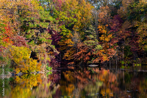 Autumn foliage in central park, New York city surrounding pond of water