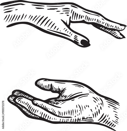 Female and masculine hands line drawing isolated on white background.