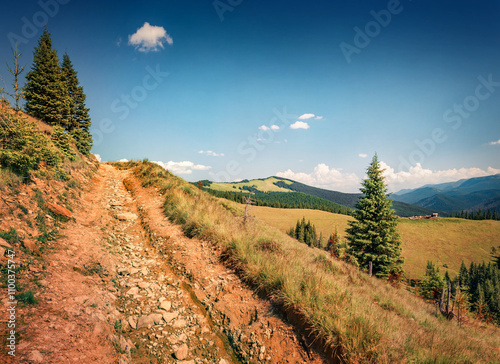 Colorful summer view of Zamagora village, countriside is scattered on the mountain slopes. Nice morning view of Carpathian mountains with dirt road, Ukraine. Beauty of countryside concept background. photo