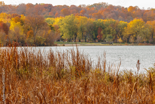 Looking back at the picnic area and beach within Pike Lake Unit, Kettle Moraine State Forest, Hartford, Wisconsin in late October, the hillside with muted color photo