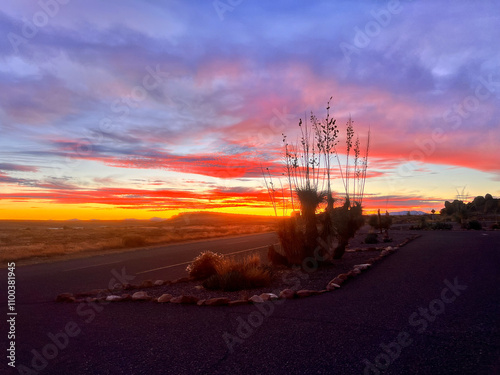 bright dramatic desert new mexico red sunset with silhouetted plants photo