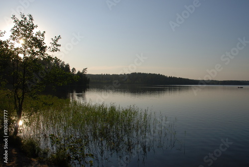 Lake under a clear sky. Forest lake with small waves on the surface, under a blue cloudless sky. On the other side of the lake there is a forest with green foliage. Bushes and reeds grow near water.