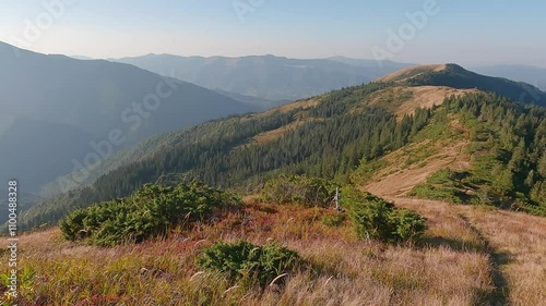 Exciting autumn view of Darvaika peak. Beautiful evening scene of Carpathian mountains, Ukraine, Europe. Beauty of nature concept background. 4K video (Ultra High Definition).