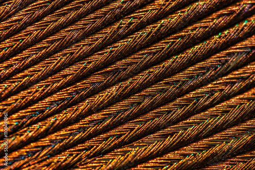 Extreme Macro Close-Up of an Incredibly Beautiful and Amazing Peacock Feather Highlighting Intricate and Colorful Structural Details photo