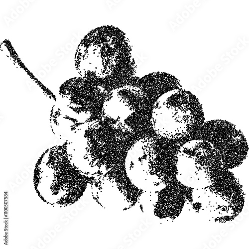 Grape with halftone stipple effect for grunge punk y2k collage design. Vintage photocopy style vector illustration. Grainy textured element in noisy gradation dotwork