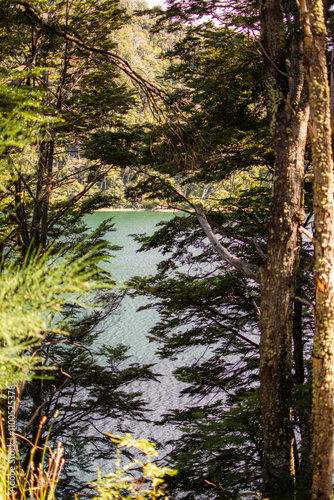 LAGO ESCONDIDO, CAMINO DE LOS 7 LAGOS, PATAGONIA ARGENTINA 