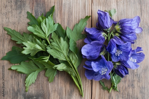 Raw parts of monkshood plant photo