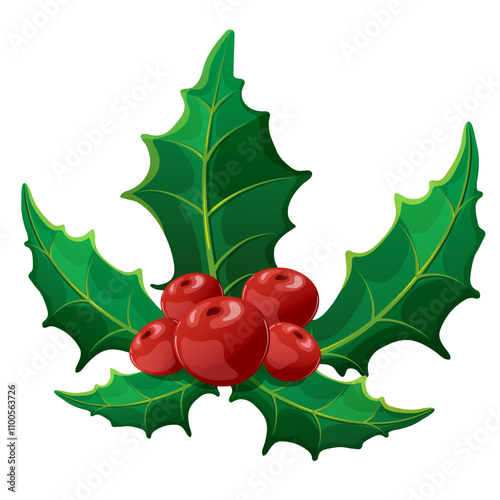 Holly berry with leaves on white background. Plant for new year and merry Christmas decoration or mistletoe branch or twig with fruits. Winter elements for design creation, suitable for decorative