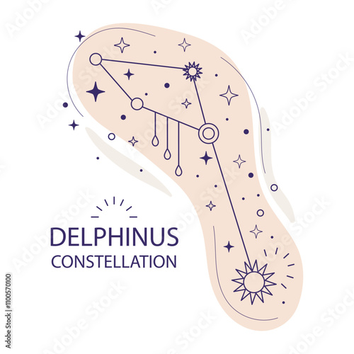 Star constellation Delphinus vector illustration