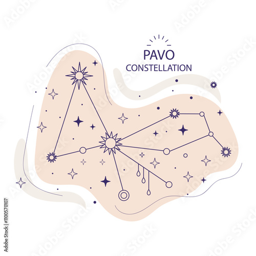 Star constellation Pavo vector illustration