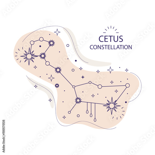 Star constellation Setus vector illustration