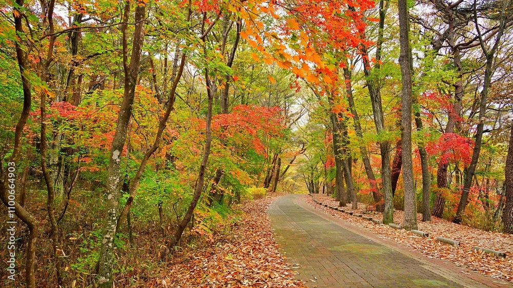 Obraz premium Autumn scenery of Seoknamsa Temple in Korea