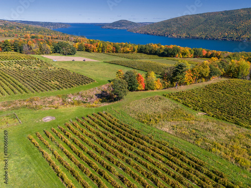 Aerial View of Vineyards Overlooking Canandaigua Lake. South Bristol, New York. Finger Lakes New York Wine Region.