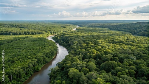 Aerial view of a winding river cutting through dense green forest , aerial, view, winding, river, lush, green, forest