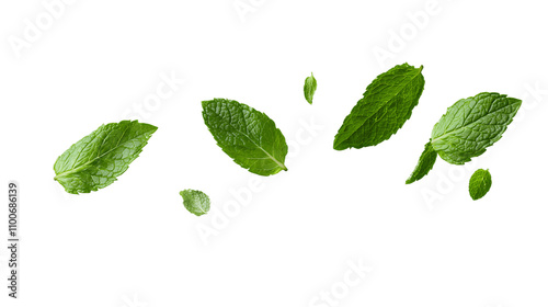 Flying Delicious Fresh Mint Leaves on Transparent Background