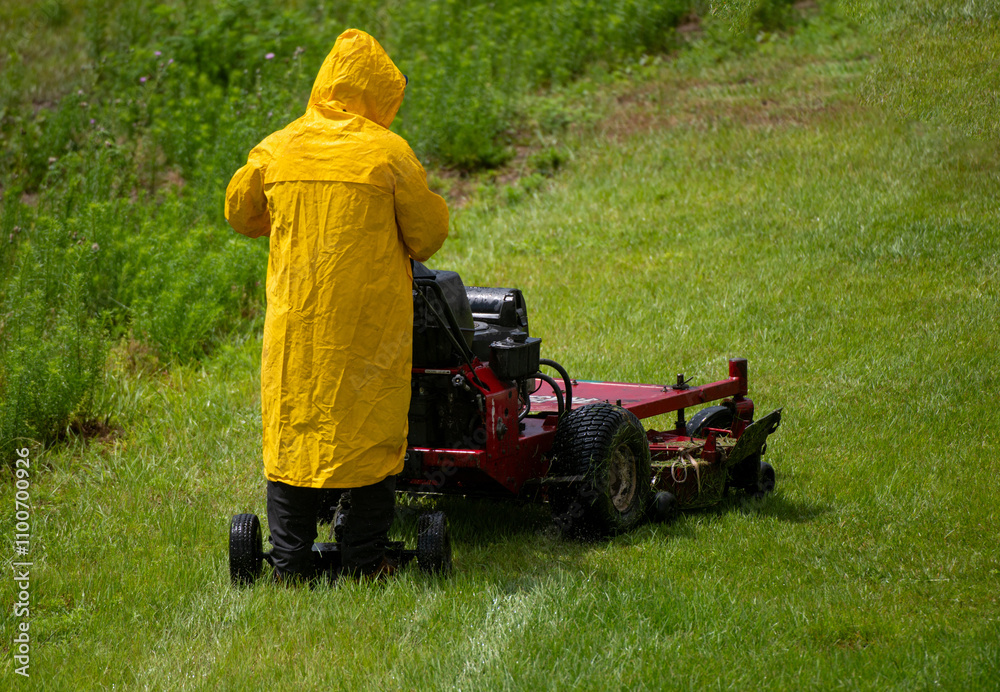Obraz premium Cut grass at field. Mowing lawn. Lawn equipment. Grass clippers. Lawn mower. Grass cutting tool. Lawn care. Background for advertising. Advertising banner.
