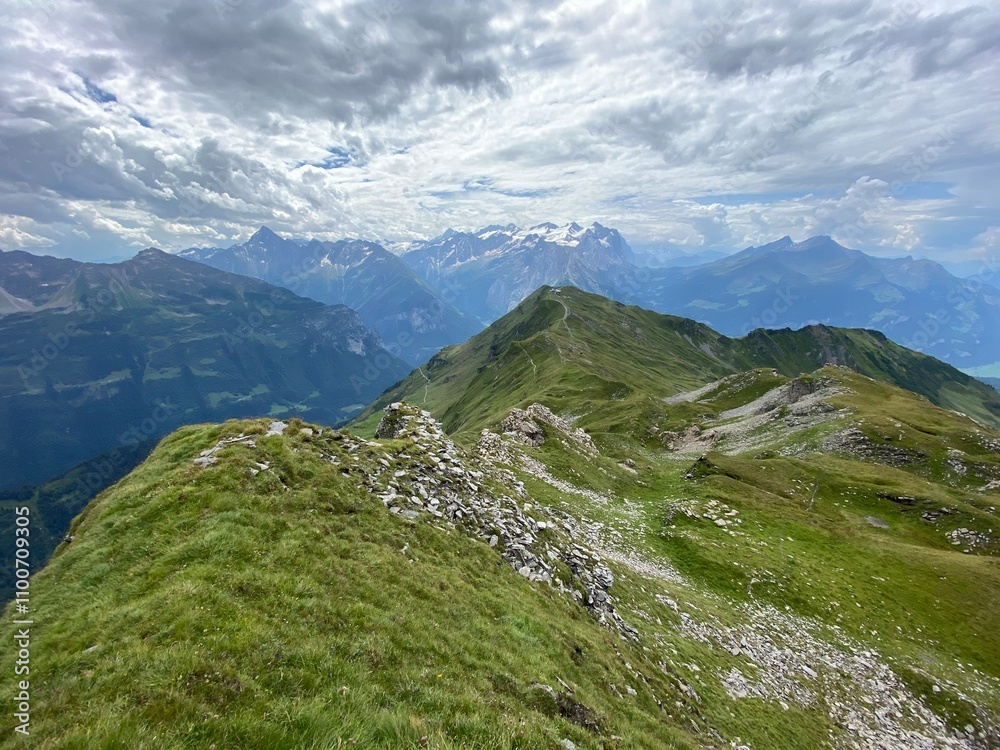 Fototapeta premium Alpine meadows and pastures on the slopes of the Uri Alps mountain massif, Melchtal - Canton of Obwalden, Switzerland (Kanton Obwald, Schweiz)