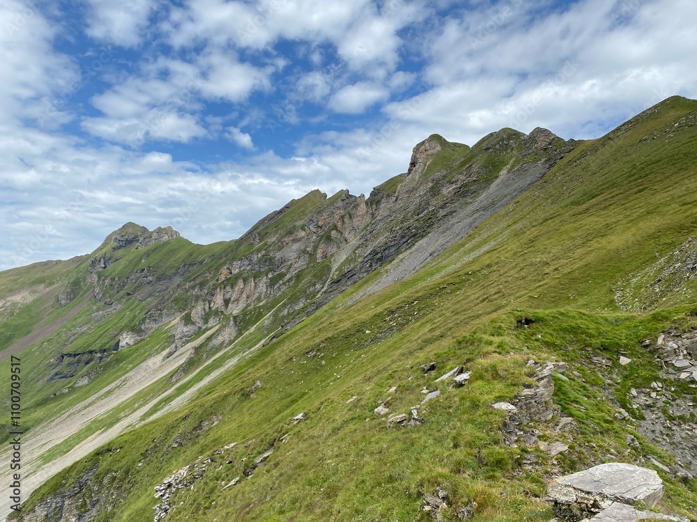 Fototapeta premium Alpine meadows and pastures on the slopes of the Uri Alps mountain massif, Melchtal - Canton of Obwalden, Switzerland (Kanton Obwald, Schweiz)