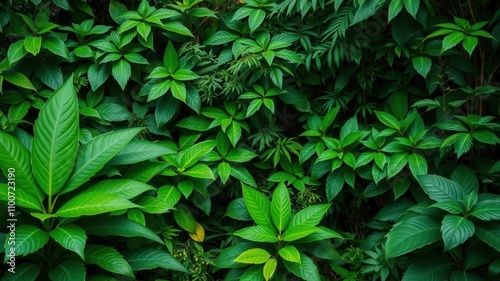 Lush green foliage in a dense jungle setting with various plant species, nature, vibrant